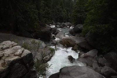 DSC_4687 (Large).JPG